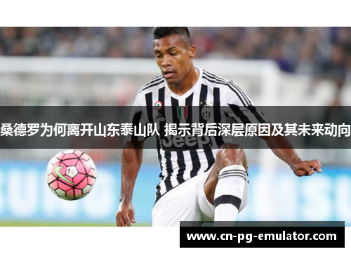桑德罗为何离开山东泰山队 揭示背后深层原因及其未来动向 桑德罗为何离开山东泰山队 揭示背后深层原因及其未来动向