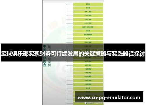 足球俱乐部实现财务可持续发展的关键策略与实践路径探讨 足球俱乐部实现财务可持续发展的关键策略与实践路径探讨