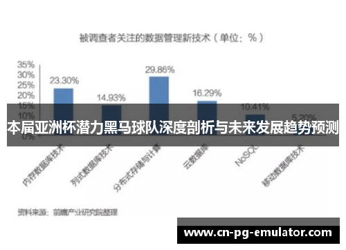 本届亚洲杯潜力黑马球队深度剖析与未来发展趋势预测 本届亚洲杯潜力黑马球队深度剖析与未来发展趋势预测