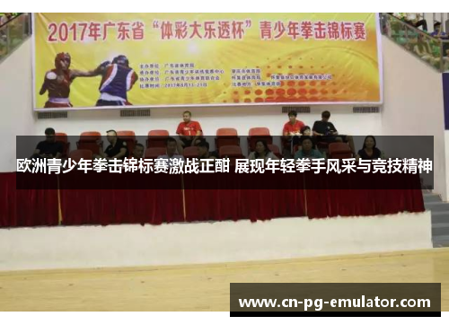 欧洲青少年拳击锦标赛激战正酣 展现年轻拳手风采与竞技精神